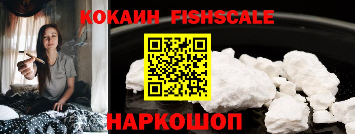 как найти закладки  Вход с VPN  Саранск  Cocaine FishScale  КОКАИН Fish Scale 
