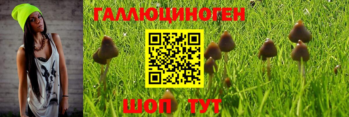 цены   Вход с VPN  Саранск  Галлюциногенные грибы мухоморы 